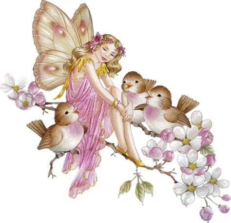 Fairy Flower Fairies Fairy Transparent Png Png Download 679656
