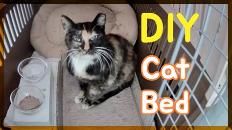 안 입는 스웨터로 고양이 침대 만들기 Diy How To Make A Cat Bed Out Of Old Sweater Youtube