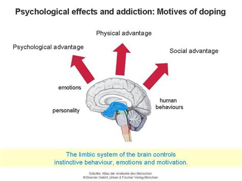 Long Term Effects Of Alcohol Consumption Psychological Effects Of