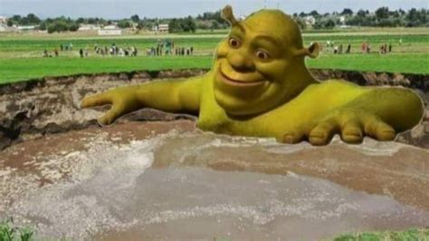 Shrek Se Toma Baño En Enorme Pantano Y Otros Memes Del Socavón En