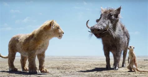 Timon And Pumbaa Saving Simba In The Lion King Video Popsugar