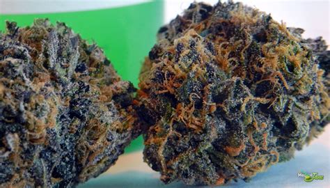 I smoke occasionally with friends, and they usually handle the weed situation. God's Gift Marijuana Strain (Review)