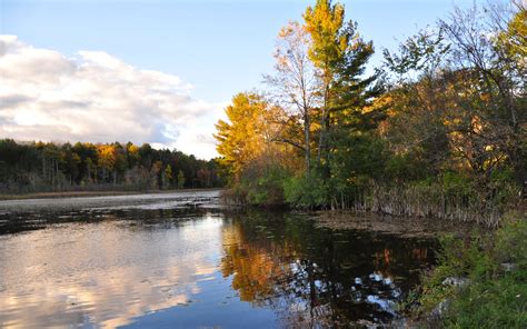 Download Wallpaper 3840x2400 Trees Reflection Lake Autumn Landscape