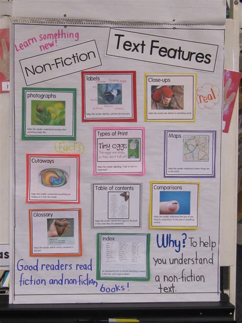 Non Fiction Text Features Posters Behind The Books Three Melissa
