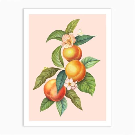 Peaches Art Print In 2022 Peach Art Art Prints Pastel Wall Art
