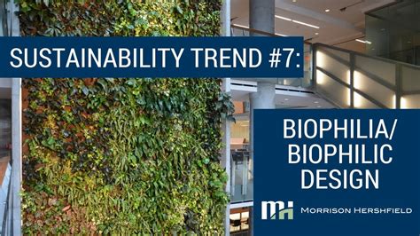 Sustainability Trend 7 Biophilia Biophilic Design Youtube