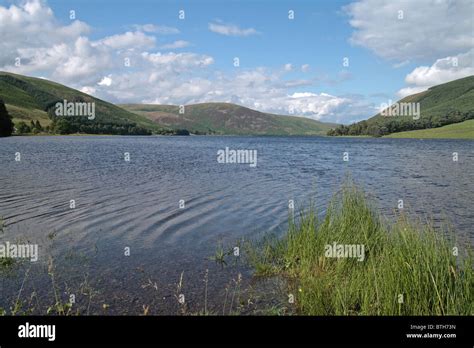 St Marys Loch Upper Yarrow Valley Borders Scotland Stock Photo Alamy