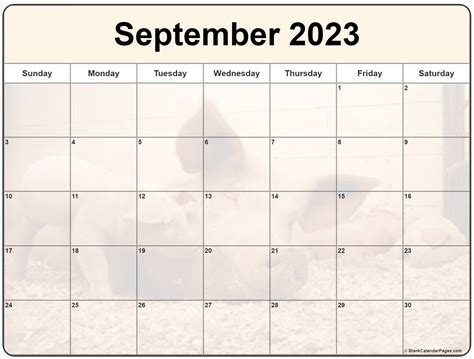 Collection Of September 2023 Photo Calendars With Image Filters