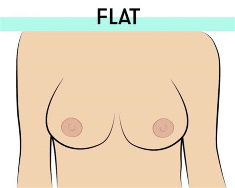 There Are Only 8 Types Of Nipples In The World — Which Kind Do You Have