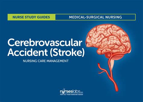 Cerebrovascular Accident Stroke Nursing Care And Management A Study Guide