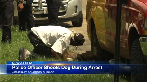 Chicago Police Officer Shoots Dog After Getting Bit While Making An