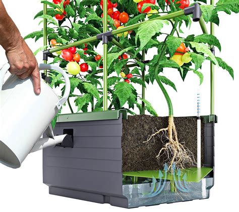 Grow Vegetables And Herbs In A City Jungle Planter From Biogreen