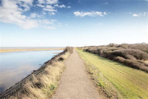 Coastline Along The Essex Countryside Stock Image Image Of England Countryside 169515789