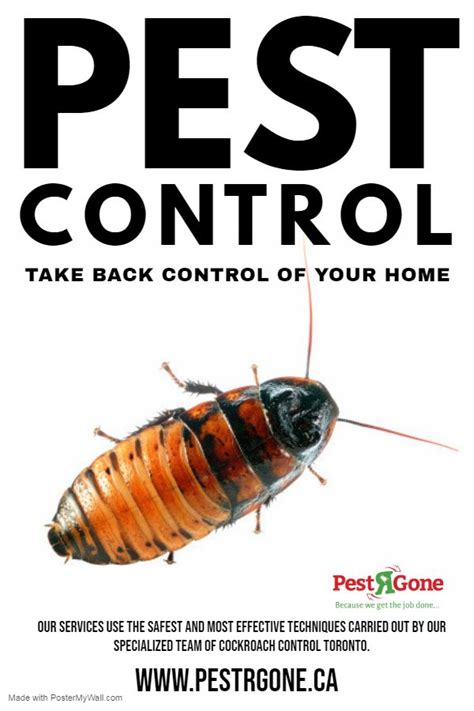It's not a good thing, and only a pest control treatment can make sure that doesn't happen. #PestRGone #cockroach #control #Toronto is highly trained ...