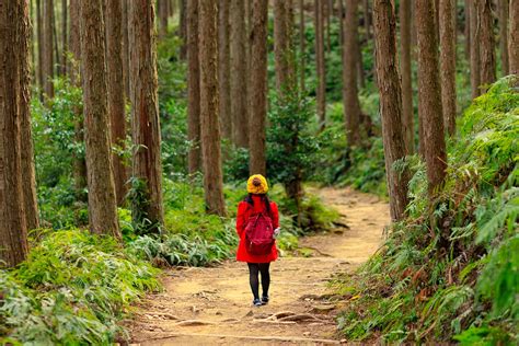 Japans 10 Most Popular Hiking Trails A Hiking Trip To Enjoy The