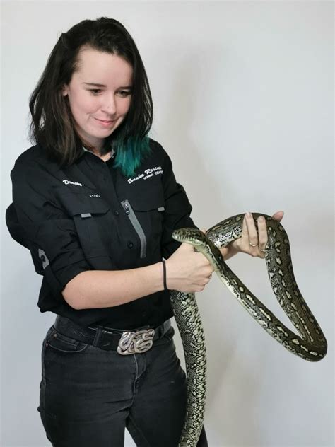 Queensland Snakes Snake Identification Snake Rescue Sunny Coast
