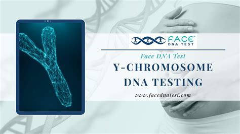 Y Chromosome Dna Testing Benefits In Ancestry Face Dna Test