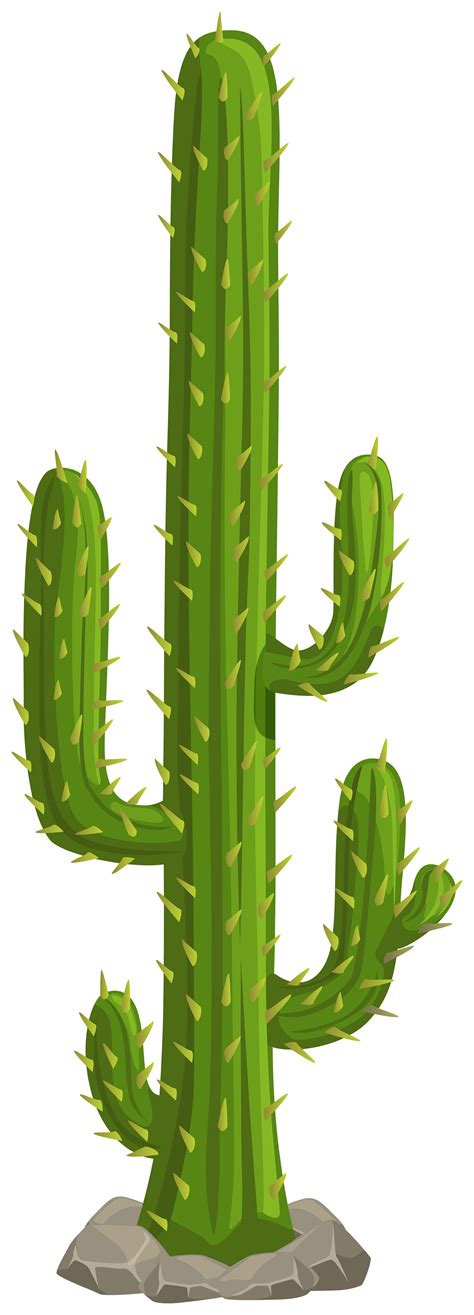 Cactus Png Transparent Png Image Collection