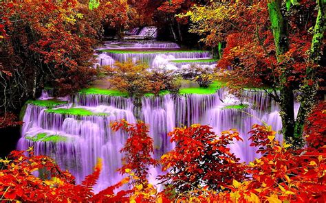 Autumn Forest And Cascade Waterfalls Cacade Forest Waterfall Nature