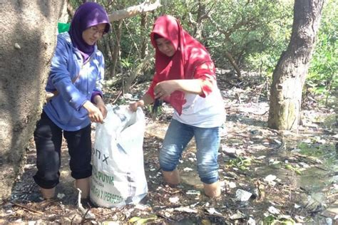 Bersih Sampah Plastik Di Hutan Mangrove Pamurbaya Tandai Peringatan