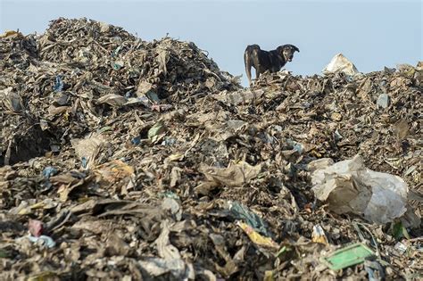 The report by the world wide fund for nature (wwf) covers china, indonesia, malaysia, the philippines, thailand and vietnam, which together account for around 60% of plastic debris entering the ocean. the average malaysian uses 16.78kg of plastic packaging each year, according to wwf estimates, with thailand next at 15.52kg per person per annum. WWF-Malaysia report: 'Tapau' culture major contributor to ...