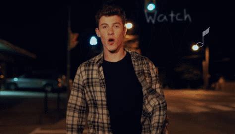 Shawn Mendes Show You Lyric Video