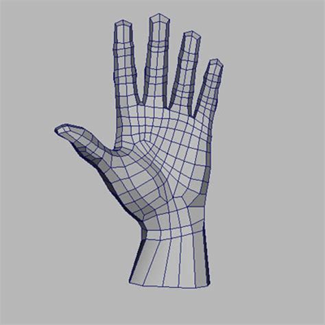 Human Hand 3d Model