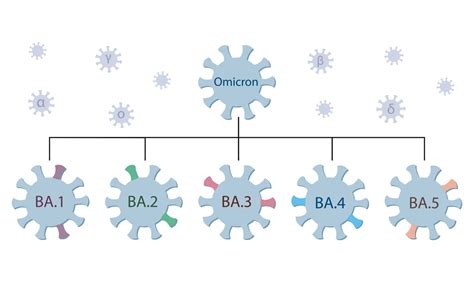 Omicron Ba4 And Ba5 Subvariants Intellihealth Plus Rejuvenation Clinic