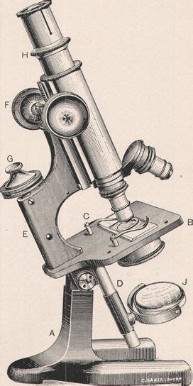 Modern Compound Light Microscope 1886
