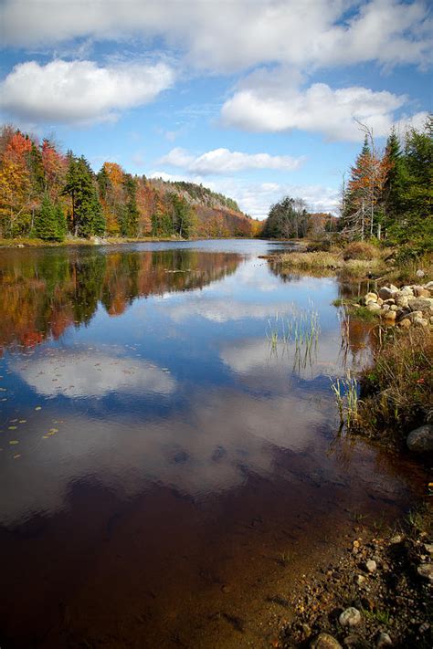 Bald Mountain Pond In The Adirondacks Photograph By David Patterson