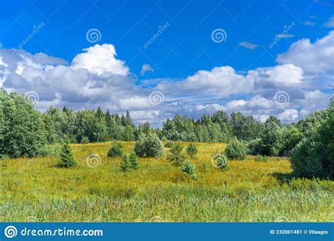 Beautiful Natural Landscape Green Forest On A Background Of Blue Sky