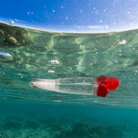 Four Ways Plastics Are Killing Marine Life And Reaching The Oceans