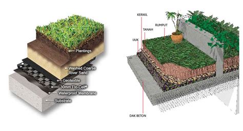 Merencanakan Roof Garden Blog Arsitek