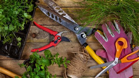How To Clean Pruning Shears Keep Them In Top Condition Gardeningetc