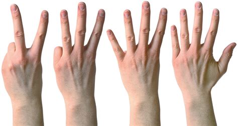 Hand Fingers Two Free Photo On Pixabay Pixabay