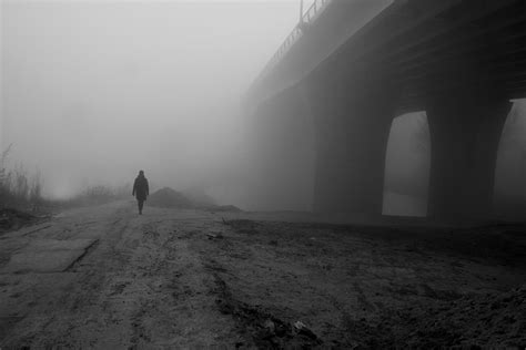 Digital Photography Bridge In The Fog Fog Photography Digital