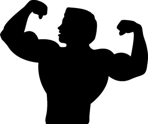 Muscle Png Transparent Image Download Size 578x486px