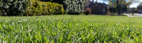 Serving madison county and the surrounding area in indiana. Lawncare - Groundhog Landscaping