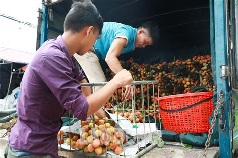 Để ngăn chặn sự lây lan của dịch bệnh, chủ tịch ubnd tỉnh bắc giang đã trực trong đó thực hiện giãn cách xã hội toàn bộ huyện việt yên từ 18 giờ ngày 15/5/2021 do trên 80% người lao động của công ty tnhh hosiden việt nam cư trú và ở trọ trên. Bắc Giang: Trưng dụng nhà nghỉ làm khu cách ly cho thương ...