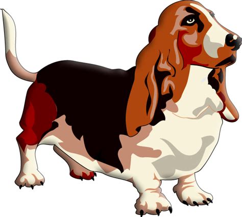 Clipart Basset Hound 10 Free Cliparts Download Images On Clipground 2022