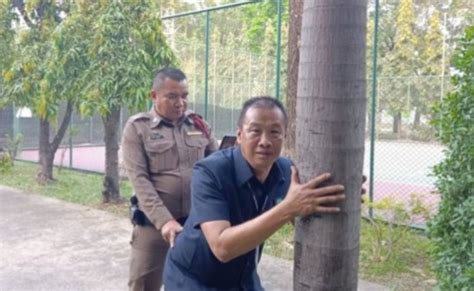 Thai Police Re Enact Couple Having Sex Against Tree To Catch Culprits