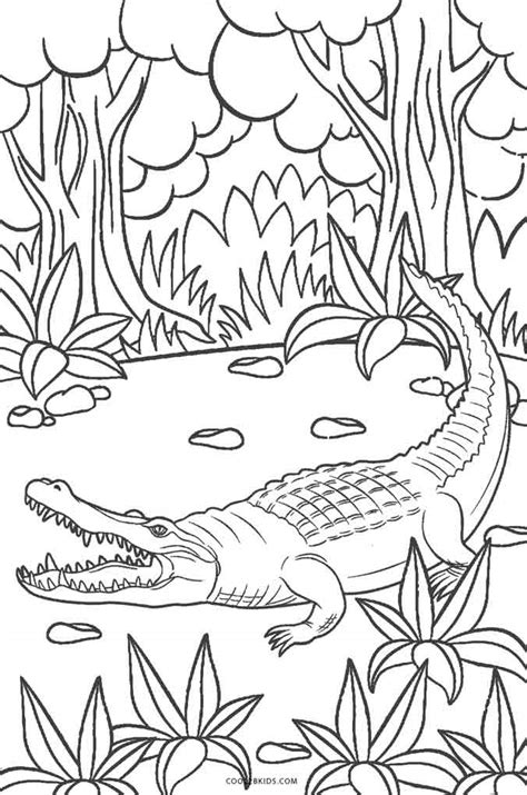 Alligator Coloring Pages | Cool2bKids