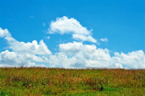 Green Field Blue Sky And White Clouds Stock Image Image Of Lone