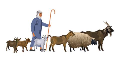 50 Goat Herder Stock Illustrations Royalty Free Vector Graphics