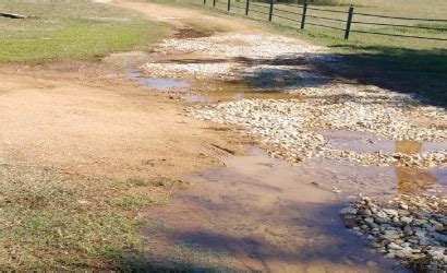 Problems with your drain field? Quick Guide To Residential Septic Pumping - Myers Septic ...