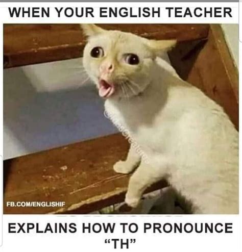 When your English teacher explains how to pronounce "TH" | Funny cat ...