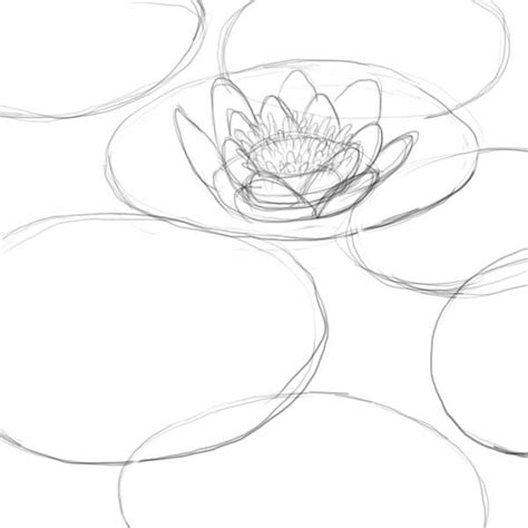 Are You Looking For A Tutorial On How To Draw A Lily Pad Look No