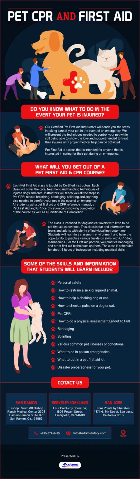 Pet Cpr And First Aid Infographic Adams Safety Training