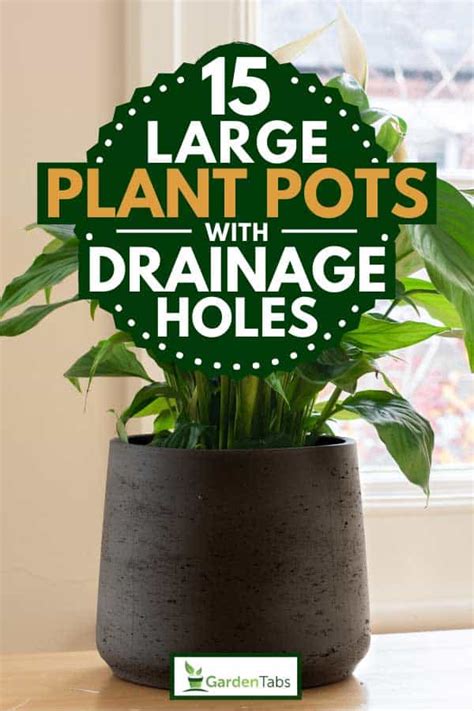 15 Large Plant Pots With Drainage Holes