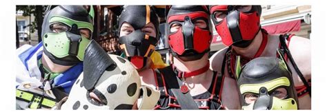 Pup Play For Beginners Everything You Need To Know